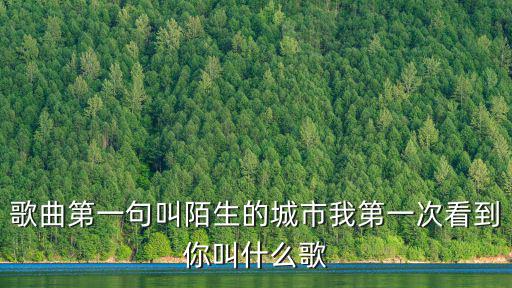 漂洋過海來看你簡(jiǎn)譜，歌曲第一句叫陌生的城市我第一次看到你叫什么歌