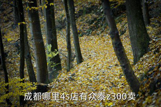 成都哪里4s店有眾泰z300賣