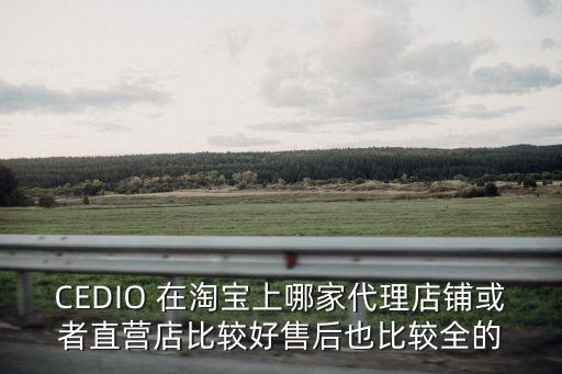 CEDIO 在淘寶上哪家代理店鋪或者直營店比較好售后也比較全的