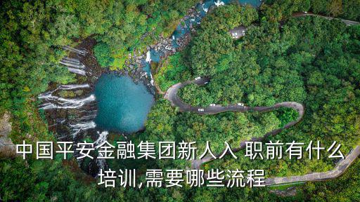 中國平安金融集團新人入 職前有什么 培訓(xùn),需要哪些流程