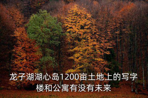 龍子湖湖心島1200畝土地上的寫字樓和公寓有沒有未來