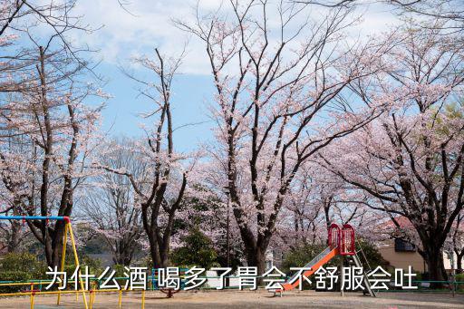 為什么酒 喝多了胃會(huì)不舒服會(huì)吐