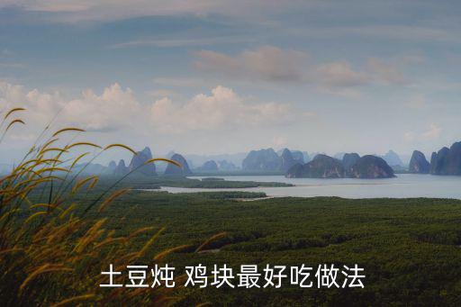  土豆燉 雞塊最好吃做法