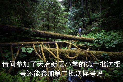 請問參加了天府新區(qū)小學的第一批次搖號還能參加第二批次搖號嗎