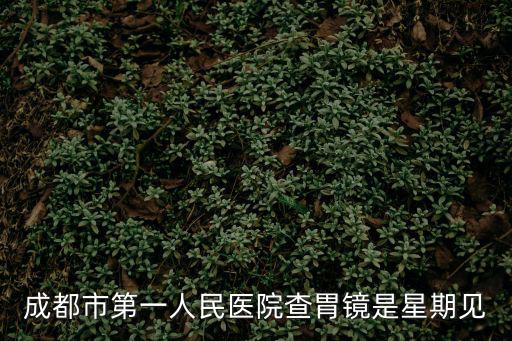 成都市第一人民醫(yī)院郭蘭，成都市第一人民醫(yī)院查胃鏡是星期見