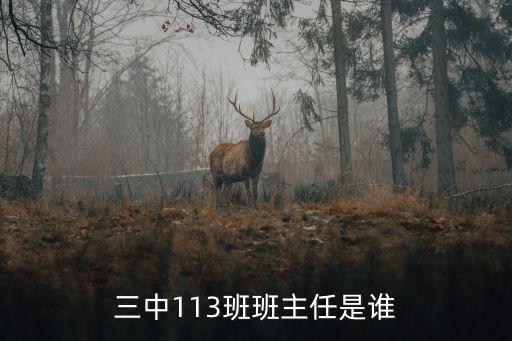 三中113班班主任是誰