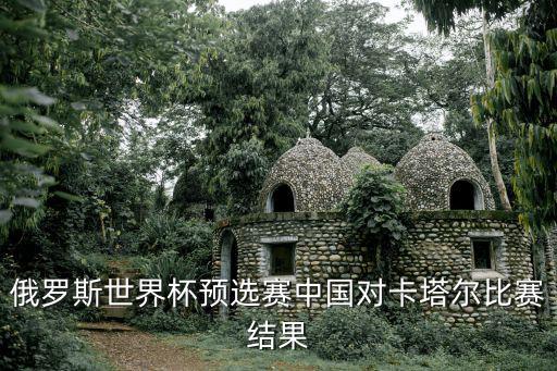 俄羅斯世界杯預選賽中國對卡塔爾比賽結果