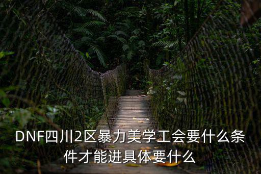 DNF四川2區暴力美學工會要什么條件才能進具體要什么