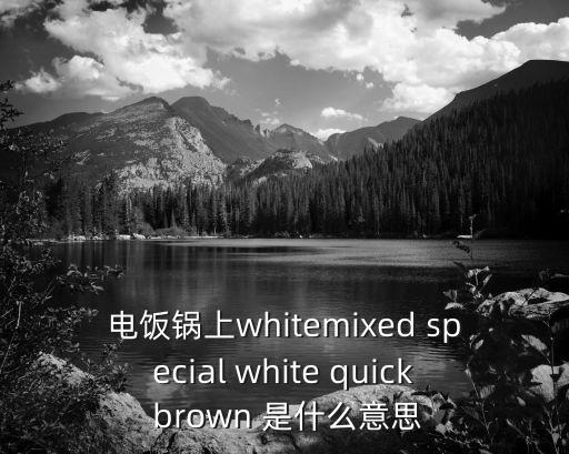 電飯鍋上whitemixed special white quick brown 是什么意思