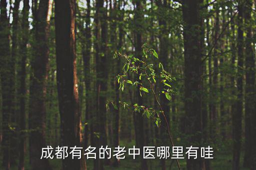 成都有名的老中醫(yī)哪里有哇