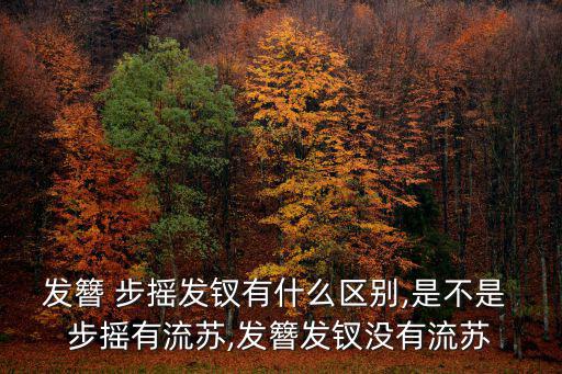 發(fā)簪 步搖發(fā)釵有什么區(qū)別,是不是 步搖有流蘇,發(fā)簪發(fā)釵沒(méi)有流蘇