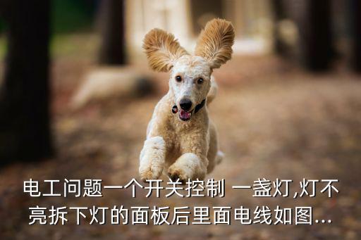 電工問題一個開關控制 一盞燈,燈不亮拆下燈的面板后里面電線如圖...