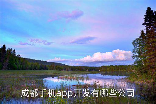 成都手機app開發有哪些公司