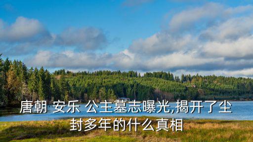 安樂公主,李習安復位后官位是安樂公主