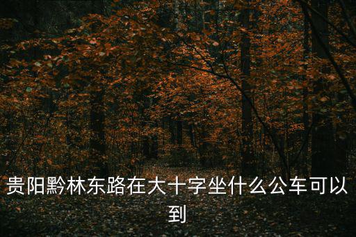 成都市橡樹林東路70號在哪里，貴陽黔林東路在大十字坐什么公車可以到