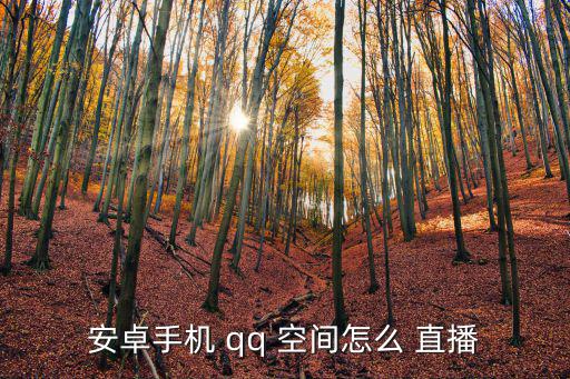 安卓手機(jī) qq 空間怎么 直播