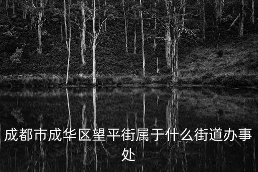 成都市成華區望平街屬于什么街道辦事處