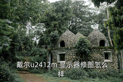 戴爾顯示器怎么樣,戴爾和顯示器雖是貼牌但品控做的比較多