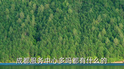 成都服務中心多嗎都有什么的