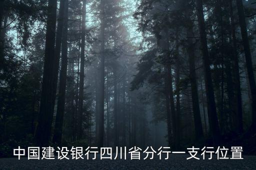 中國(guó)建設(shè)銀行四川省分行一支行位置
