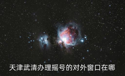 天津武清辦理搖號的對外窗口在哪