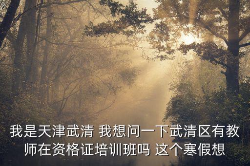 我是天津武清 我想問一下武清區有教師在資格證培訓班嗎 這個寒假想