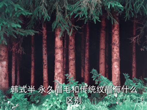  韓式半 永久眉毛和傳統紋眉有什么區別