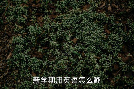 新學(xué)期用英語(yǔ)怎么翻
