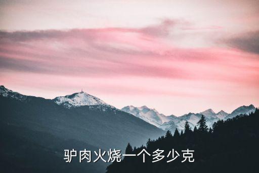 驢肉火燒一個多少克