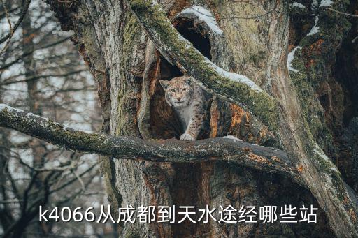 k4066從成都到天水途經(jīng)哪些站