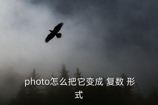 photo的復數形式