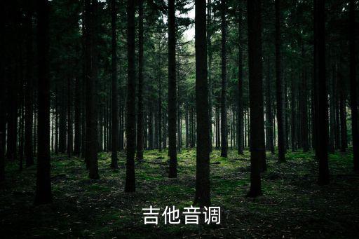  吉他音調