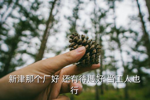 新津那個(gè)廠好 還有待遇好 當(dāng)工人也行