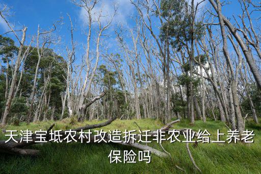 天津寶坻農村改造拆遷非農業給上養老保險嗎