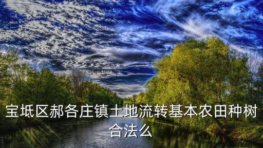 寶坻區郝各莊鎮土地流轉基本農田種樹合法么