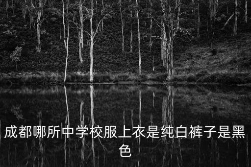 成都哪所中學(xué)校服上衣是純白褲子是黑色