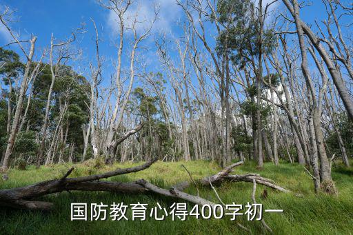 國防教育心得400字初一