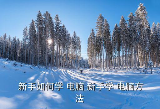  新手如何學(xué) 電腦 新手學(xué) 電腦方法