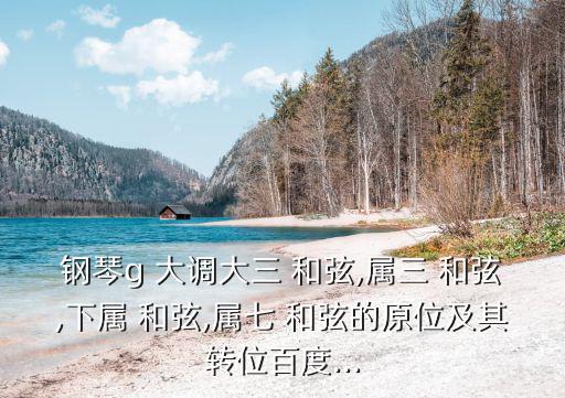 鋼琴g 大調大三 和弦,屬三 和弦,下屬 和弦,屬七 和弦的原位及其轉位百度...