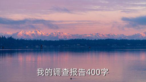 我的調(diào)查報(bào)告400字