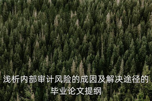 淺析內(nèi)部審計(jì)風(fēng)險(xiǎn)的成因及解決途徑的畢業(yè)論文提綱