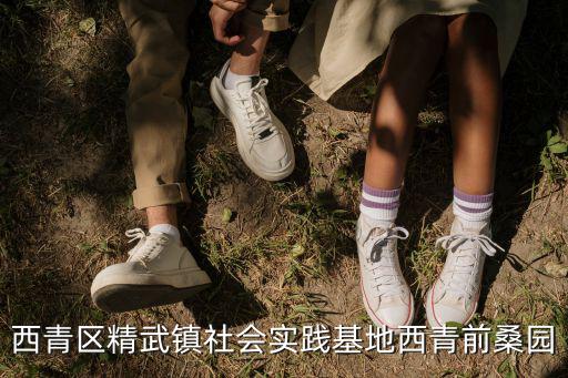 西青區精武鎮社會實踐基地西青前桑園