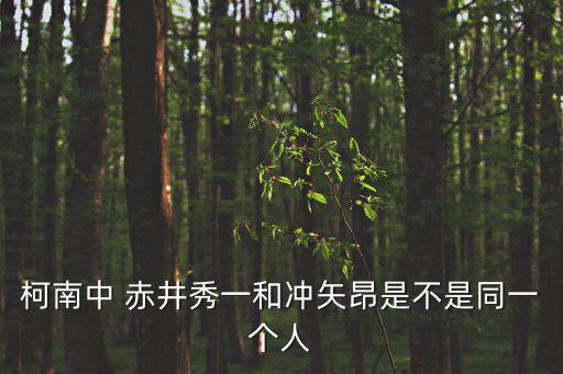 柯南中 赤井秀一和沖矢昂是不是同一個(gè)人