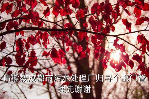 請指教成都市污水處理廠歸尋個部門管理先謝謝