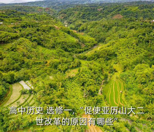 高中歷史 選修一,“促使亞歷山大二世改革的原因有哪些”