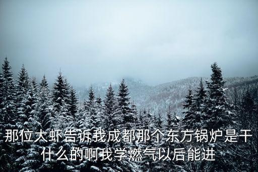 東方鍋爐廠在成都市哪個區(qū)，東方鍋在郫縣什么地方東方鍋爐在郫縣具體位置