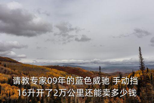 請教專家09年的藍色威馳 手動擋 16升開了2萬公里還能賣多少錢
