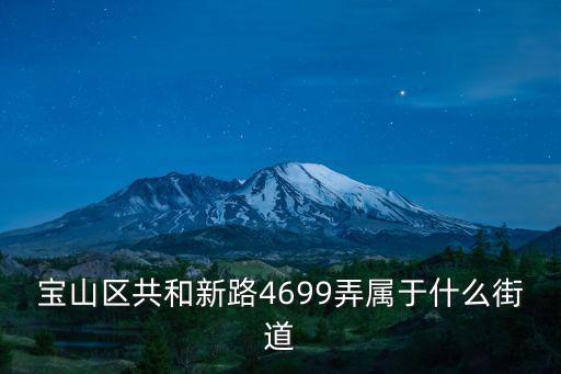寶山區共和新路4699弄屬于什么街道