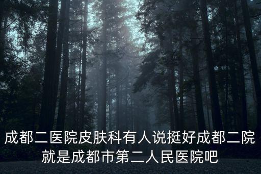 成都二醫(yī)院皮膚科有人說挺好成都二院就是成都市第二人民醫(yī)院吧