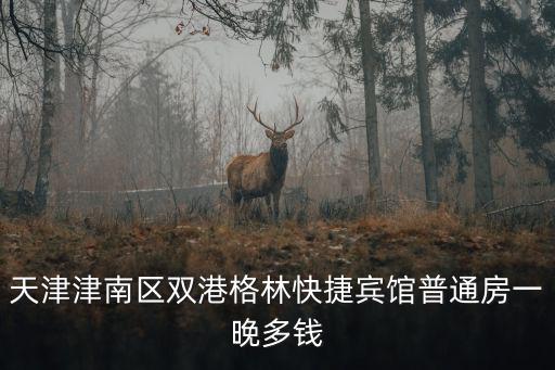 天津津南區(qū)雙港格林快捷賓館普通房一晚多錢